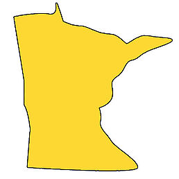 Website Design and Chat Bot for Minnesota