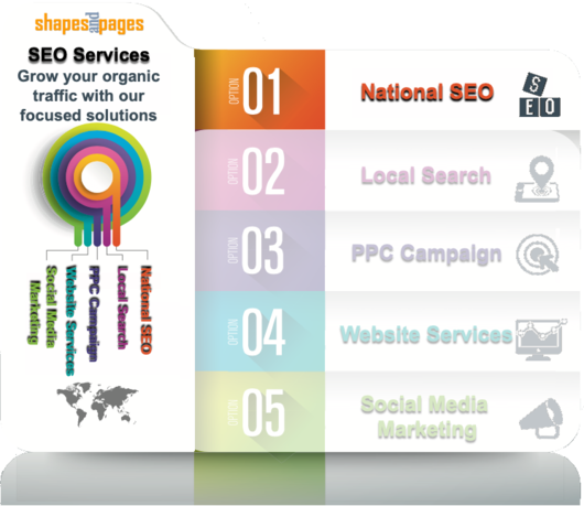 infographic showing Shapes and Pages SEO seo services to grow organic traffic - National SEO